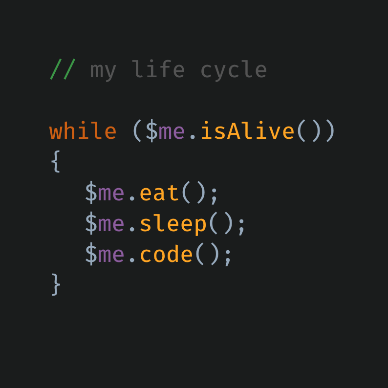 JavaScript Funny Code: my life cycle